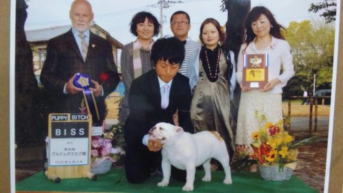 野崎ブリーダーの画像