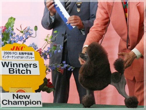 石原ブリーダーの画像