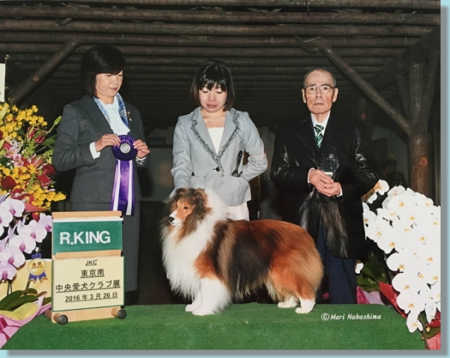 西本ブリーダーの画像