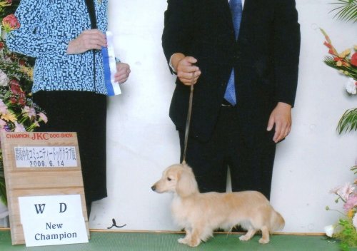 加藤ブリーダーの画像