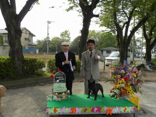 佐久間ブリーダーの画像