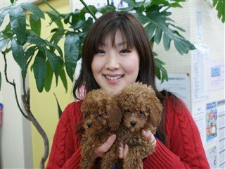 菅谷ブリーダーの画像