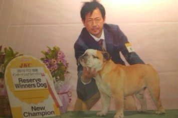 藤本ブリーダーの画像