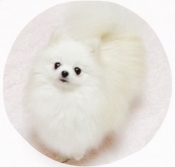 窪田ブリーダーの画像