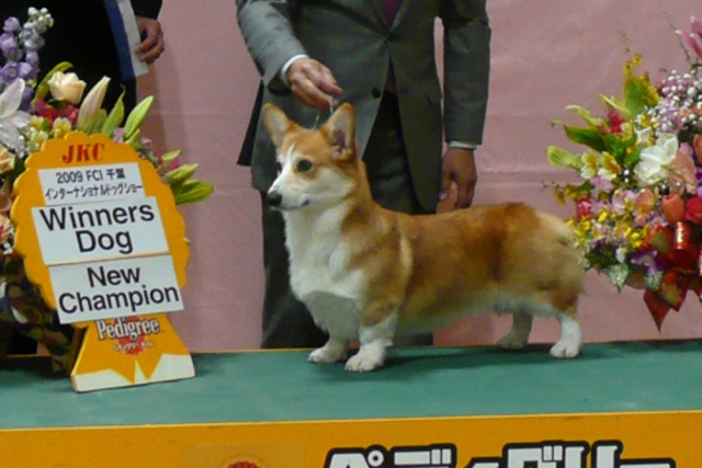 早瀬ブリーダーの画像
