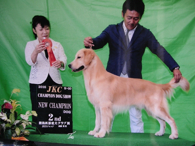 井口ブリーダーの画像