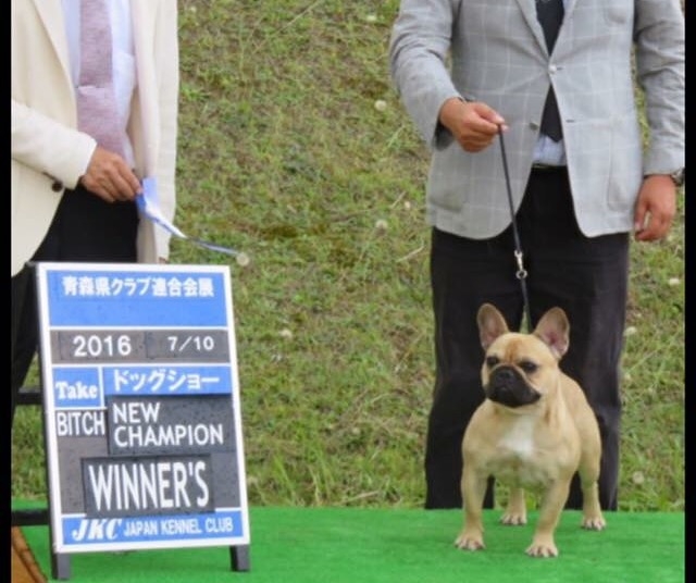 山田ブリーダーの画像
