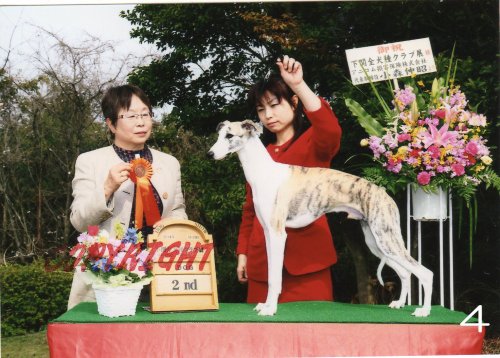 住吉ブリーダーの画像