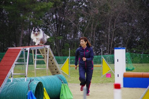 森脇ブリーダーの画像