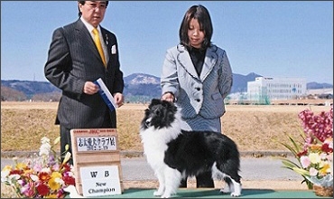 大森ブリーダーの画像