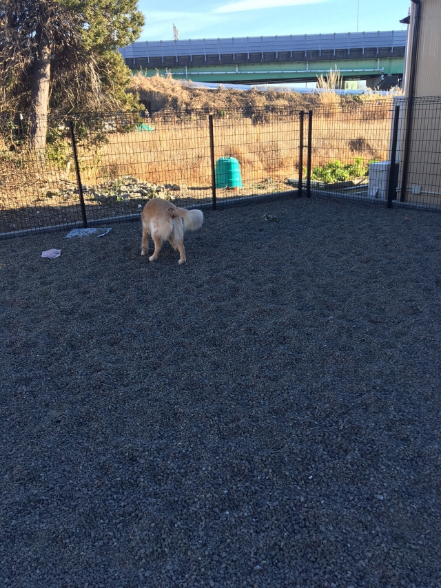 中野ブリーダーの画像