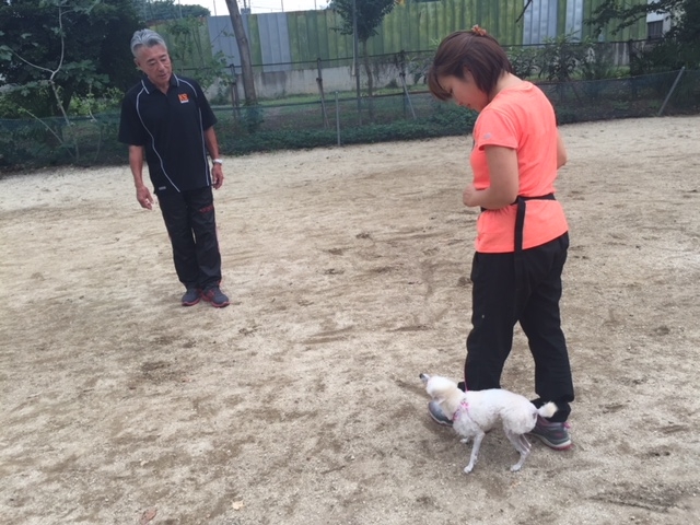 藤井ブリーダーの画像