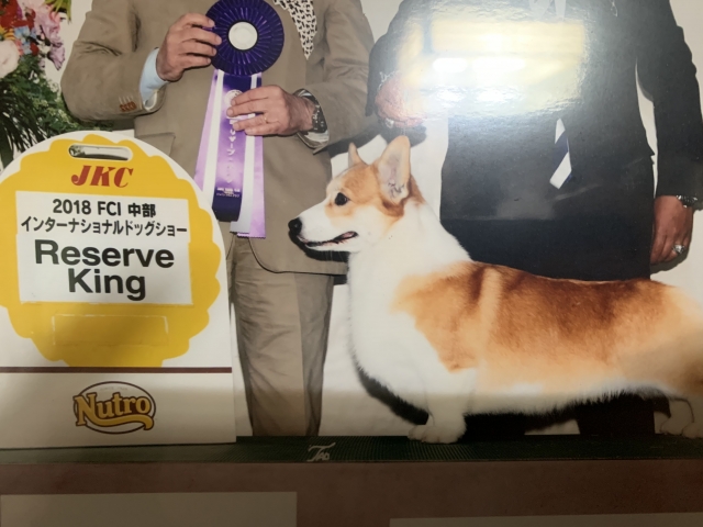 内山ブリーダーの画像