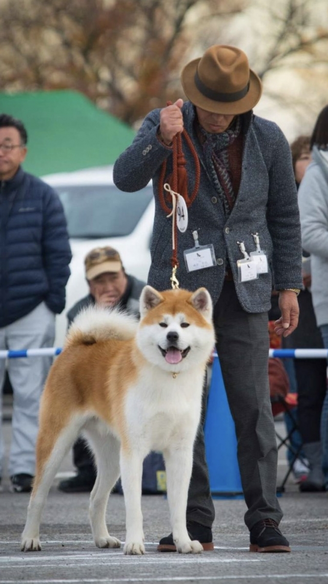 髙橋ブリーダーの画像