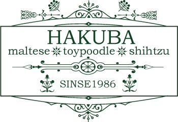 白馬ブリーダーの画像