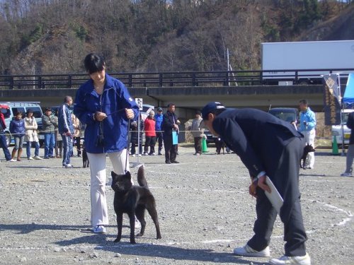 奥野ブリーダーの画像