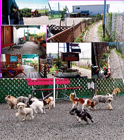 梶ブリーダーの画像