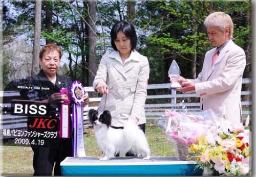 平井ブリーダーの画像