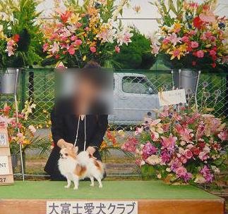 松嶋ブリーダーの画像