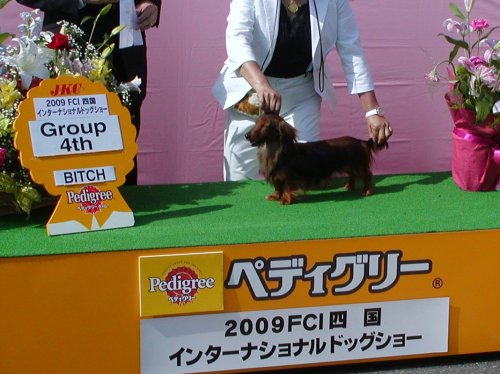 吉田ブリーダーの画像