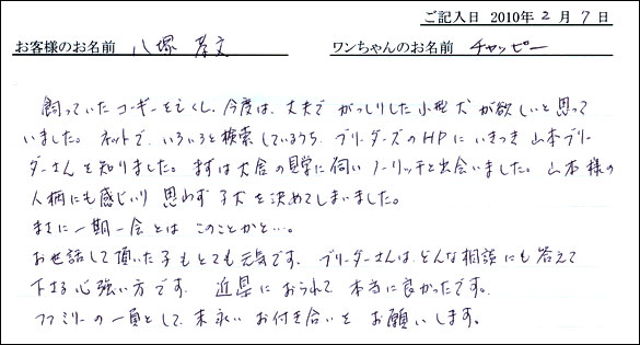 コッカーお客様の声