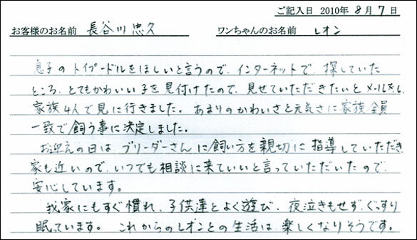 子犬お客様の声
