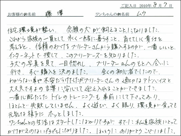 子犬お客様の声