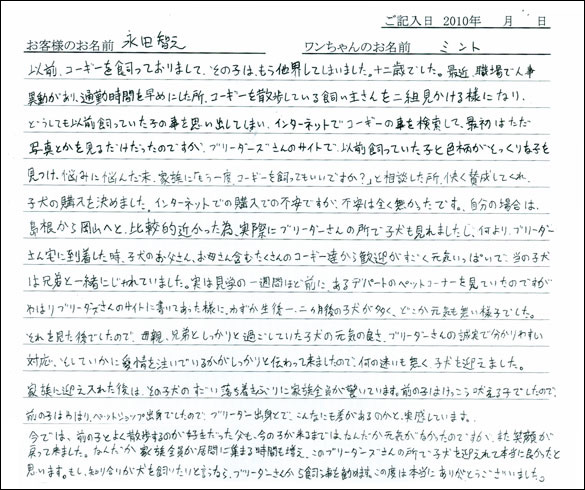 子犬お客様の声