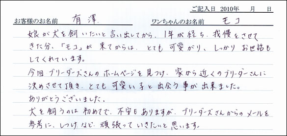 子犬お客様の声