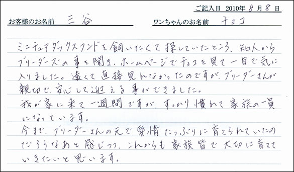 子犬お客様の声
