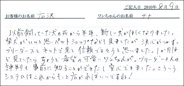 子犬お客様の声