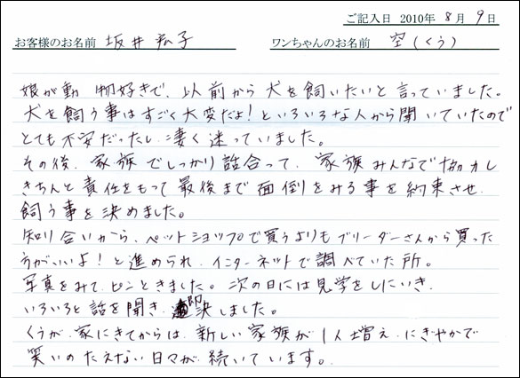 子犬お客様の声
