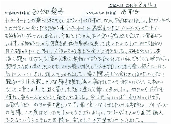 子犬お客様の声