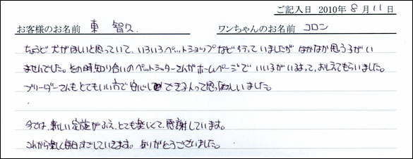 子犬お客様の声