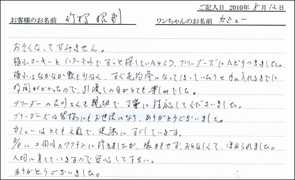 子犬お客様の声