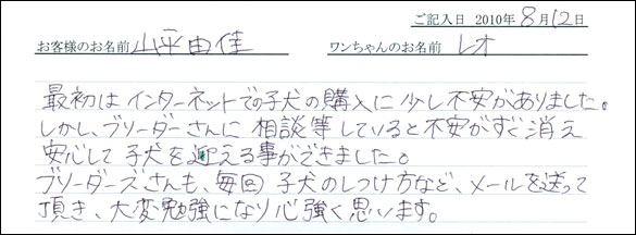 子犬お客様の声