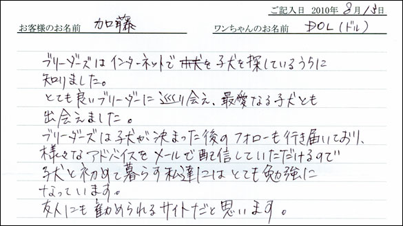 子犬お客様の声