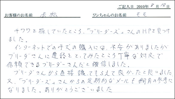 子犬お客様の声