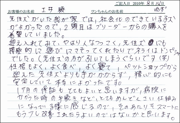 子犬お客様の声
