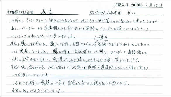 子犬お客様の声