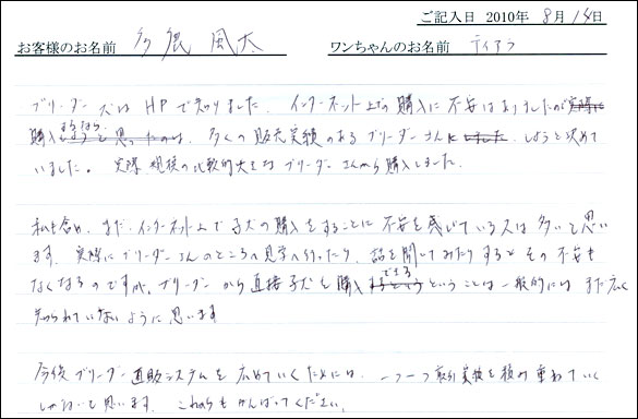 子犬お客様の声