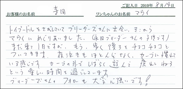 子犬お客様の声