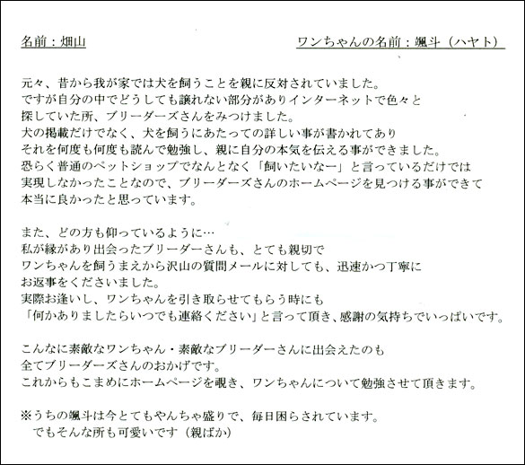 子犬お客様の声