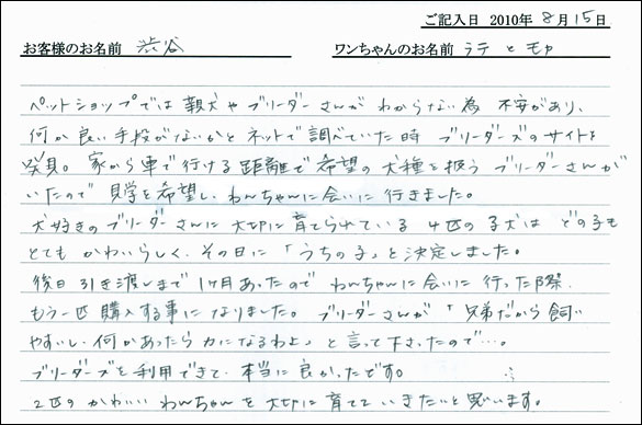 子犬お客様の声