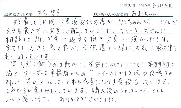 子犬お客様の声