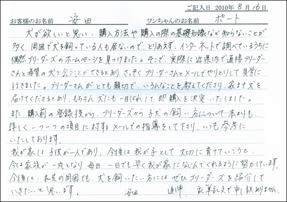 子犬お客様の声