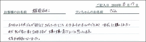 子犬お客様の声