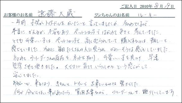 子犬お客様の声