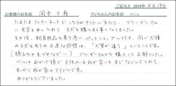 子犬お客様の声