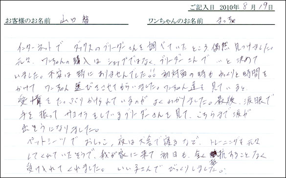 子犬お客様の声